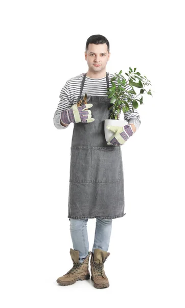 Beyaz Arka Planda Genç Bir Erkek Bahçıvan — Stok fotoğraf