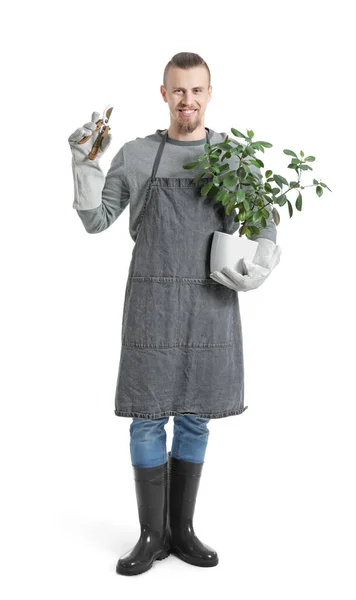 Jovem Jardineiro Masculino Fundo Branco — Fotografia de Stock