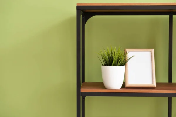 Shelf Houseplant Photo Frame Color Background — Stock Photo, Image