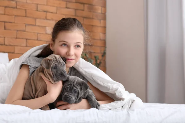 Cute Girl Puppies Home — Stock Photo, Image