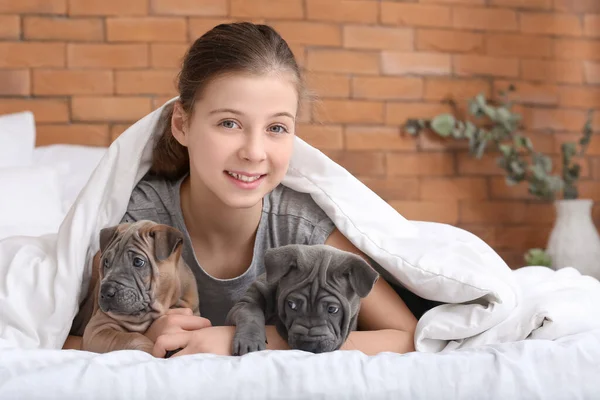 Cute Girl Puppies Home — Stock Photo, Image