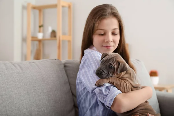 Cute Girl Puppy Home — Stock Photo, Image