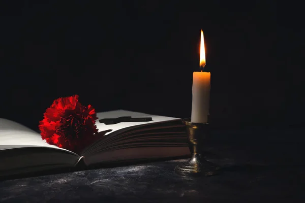 Carnation flower with book and candle on dark background