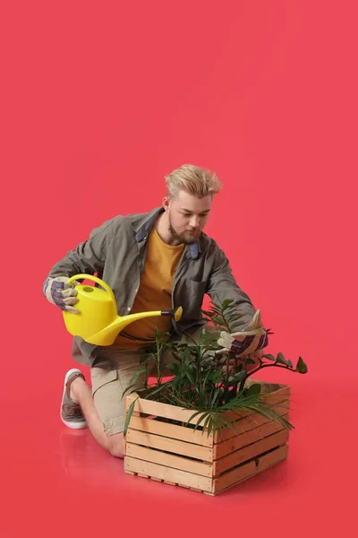 Joven Jardinero Masculino Sobre Fondo Color — Foto de Stock