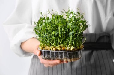 Taze mikro yeşili olan kadın, yakın plan.