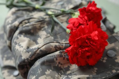 Askeri üniformalı taze karanfil çiçekleri, yakın plan.