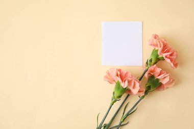 Renk arkaplan üzerinde boş kağıt sayfa ile taze karanfil çiçekleri