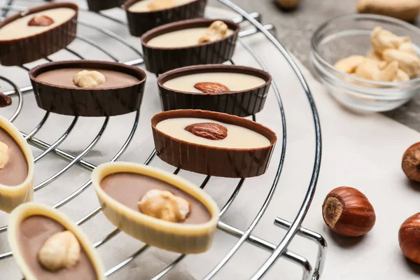 Tasty Chocolate Candies Nuts Grid Closeup — Stock Photo, Image