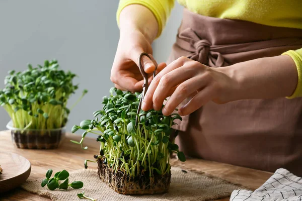 Donna Taglio Fresco Micro Verde Sul Tavolo — Foto Stock