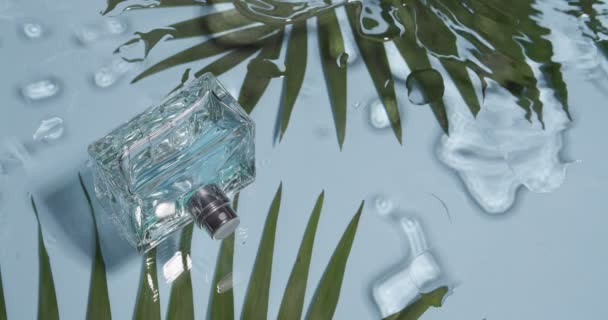 Бутылка Духов Тропических Листьев Мокром Фоне — стоковое видео
