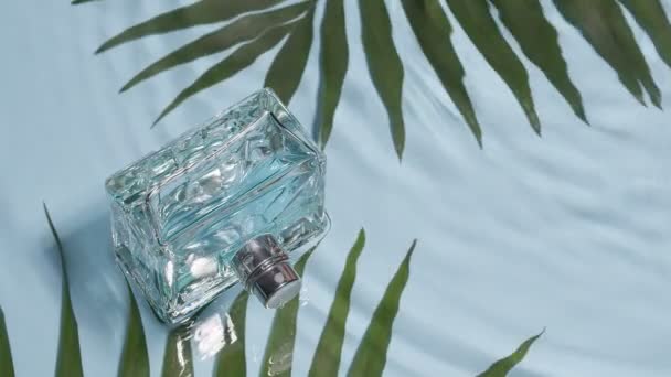 Bouteille Parfum Feuilles Tropicales Dans Eau — Video