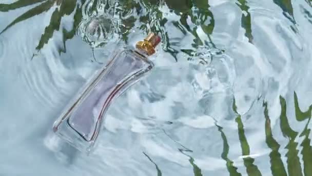 Eine Flasche Parfüm Und Tropische Blätter Wasser — Stockvideo