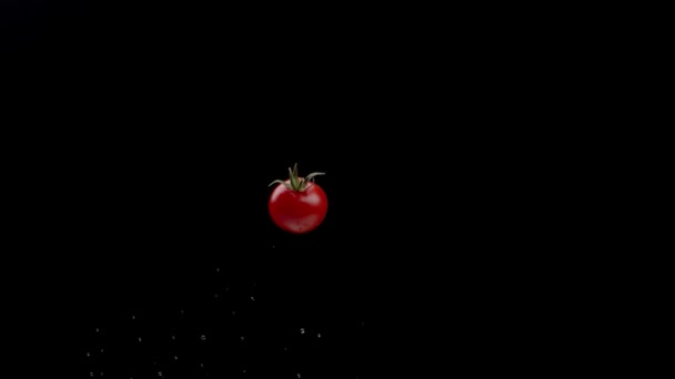 Fresh Flying Cherry Tomato Dark Background — Stock Video