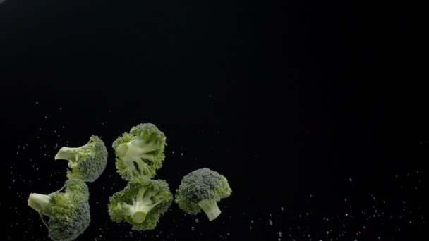 Brocoli Volant Frais Sur Fond Sombre — Video