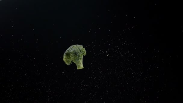Brócoli Volador Fresco Sobre Fondo Oscuro — Vídeos de Stock