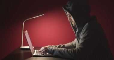 Masadaki dizüstü bilgisayarda renk arkaplanına karşı çalışan programcı