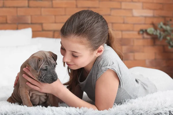 Menina Bonito Com Cachorro Casa — Fotografia de Stock