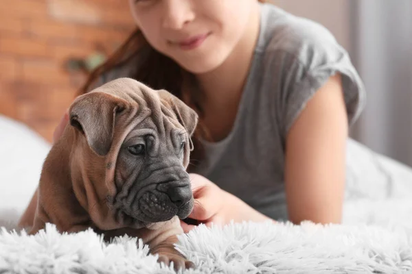 Cute Girl Puppy Home — Stock Photo, Image