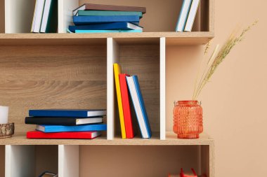 Renk arkaplanı kitaplarına sahip raf birimi