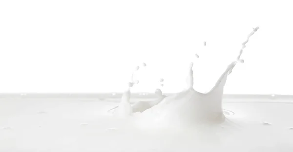 Splashes Leite Saboroso Fundo Branco — Fotografia de Stock