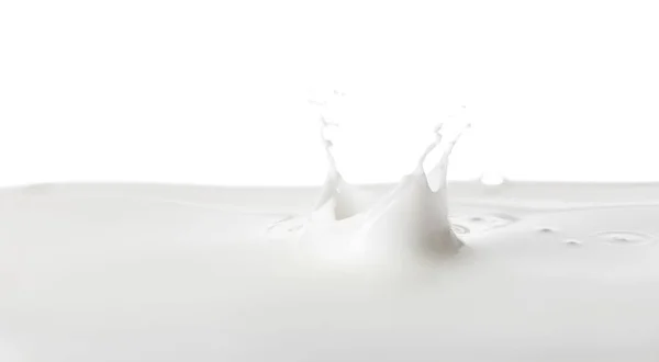 Πιτσιλιές Γευστικού Γάλακτος Λευκό Φόντο — Φωτογραφία Αρχείου