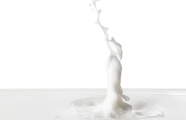 Šplouchání Chutného Mléka Bílém Pozadí — Stock fotografie