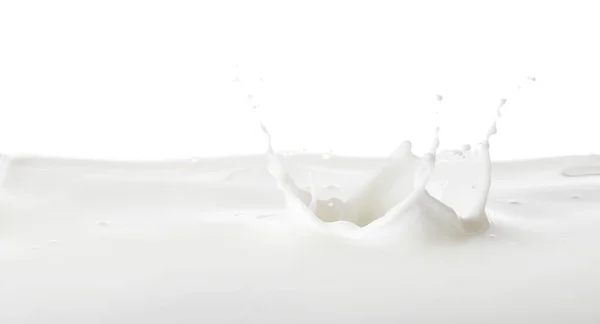 Salpicaduras Leche Sabrosa Sobre Fondo Blanco —  Fotos de Stock