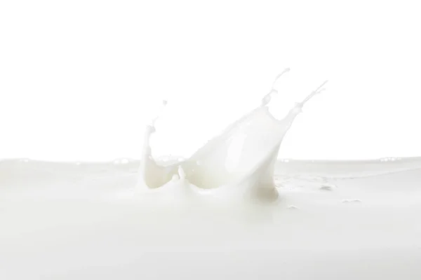 Salpicaduras Leche Sabrosa Sobre Fondo Blanco —  Fotos de Stock