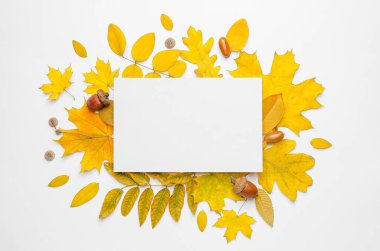 Beyaz arkaplanda boş kart ve sonbahar yaprakları