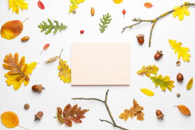 Beyaz arkaplanda boş kart ve sonbahar yaprakları