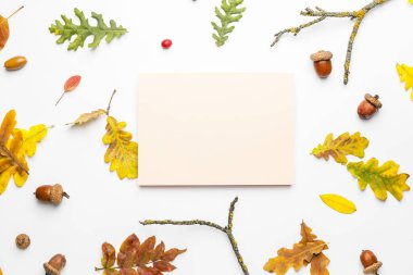 Beyaz arkaplanda boş kart ve sonbahar yaprakları