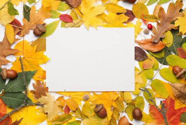 Beyaz arkaplanda boş kart ve sonbahar yaprakları