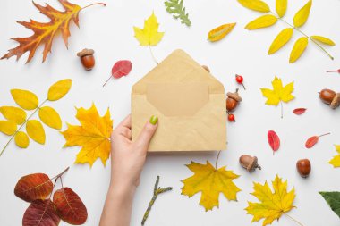 Zarflı kadın eli, beyaz arka planda boş kart ve sonbahar yaprakları