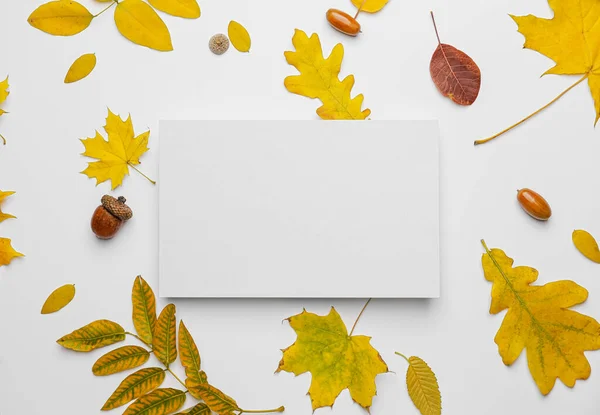 Blank Card Autumn Leaves White Background — Stock Photo, Image