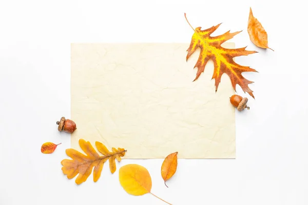 Blank Card Autumn Leaves White Background — Stock Photo, Image