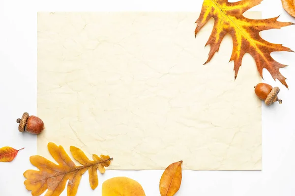 Blank Card Autumn Leaves White Background — Stock Photo, Image