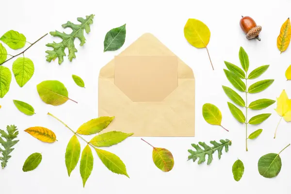 Envelope Blank Card Autumn Leaves White Background — Stock Photo, Image