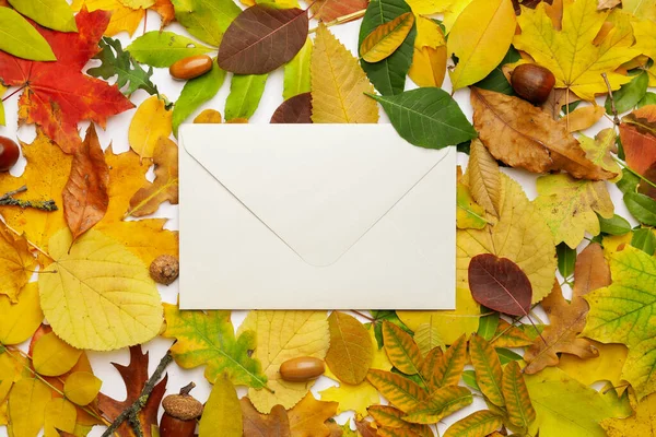 Envelope Autumn Leaves White Background — Stock Photo, Image