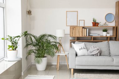 Odanın içinde kitap ve kanepe olan raflar.