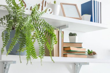 Işıklı duvarda kitap asılı raflar
