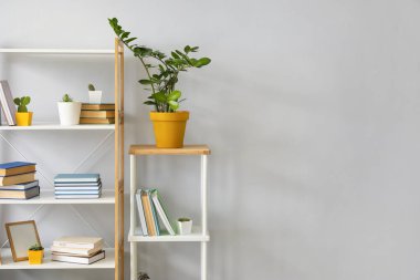 Işık duvarının yanında kitapları olan raf ünitesi