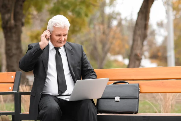 Senior Zakenman Werkzaam Park — Stockfoto