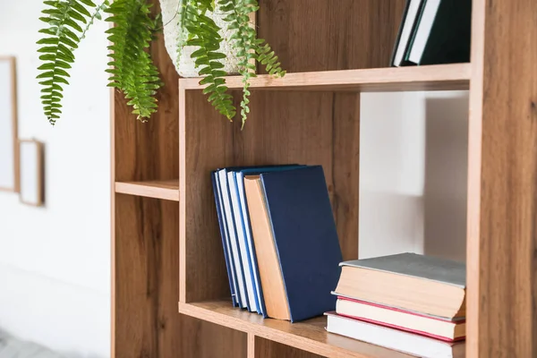 Étagère Avec Livres Intérieur Pièce Gros Plan — Photo