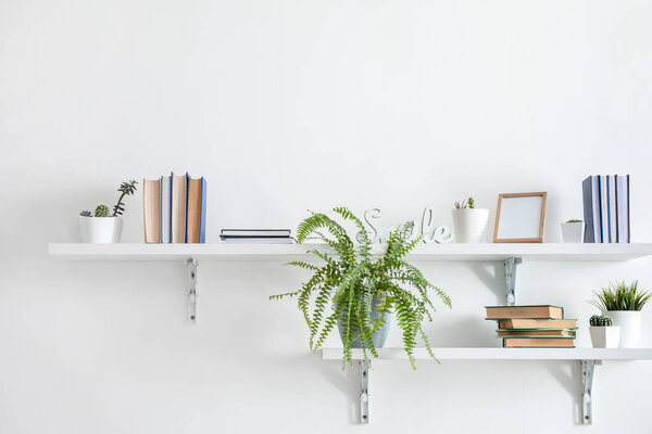 Shelves with books hanging on light wall