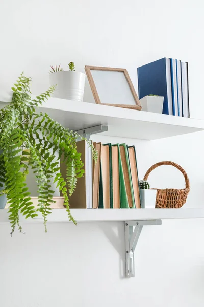 Shelf Books Plant Hanging Light Wall — Stock Photo, Image