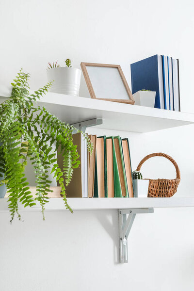 Shelf with books and plant hanging on light wall