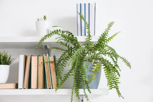 Shelf Books Plant Hanging Light Wall Closeup — Foto de Stock