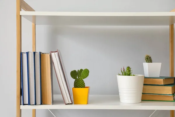 Plank Eenheid Met Boeken Het Interieur Van Kamer — Stockfoto