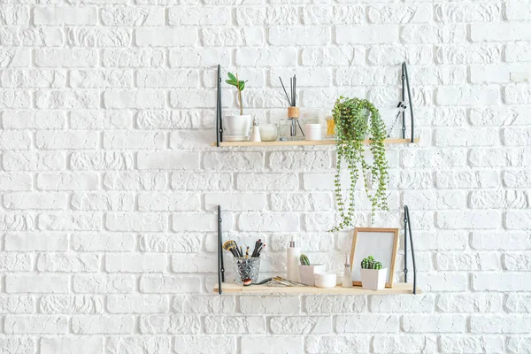Shelves Houseplants Decor Hanging Brick Wall —  Fotos de Stock