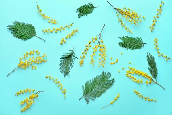 Mooie Mimosa Bloemen Kleur Achtergrond — Stockfoto